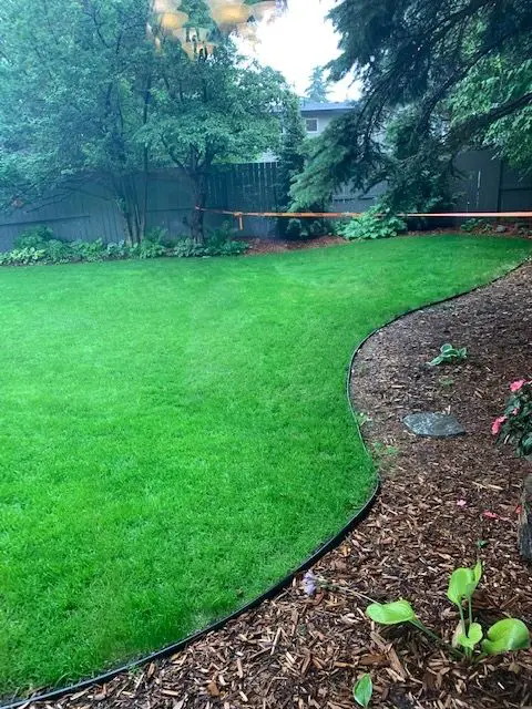 A backyard with grass and trees in the background.