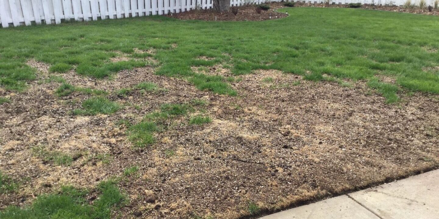 A yard that has been cut in half and is not ready for the grass to grow.